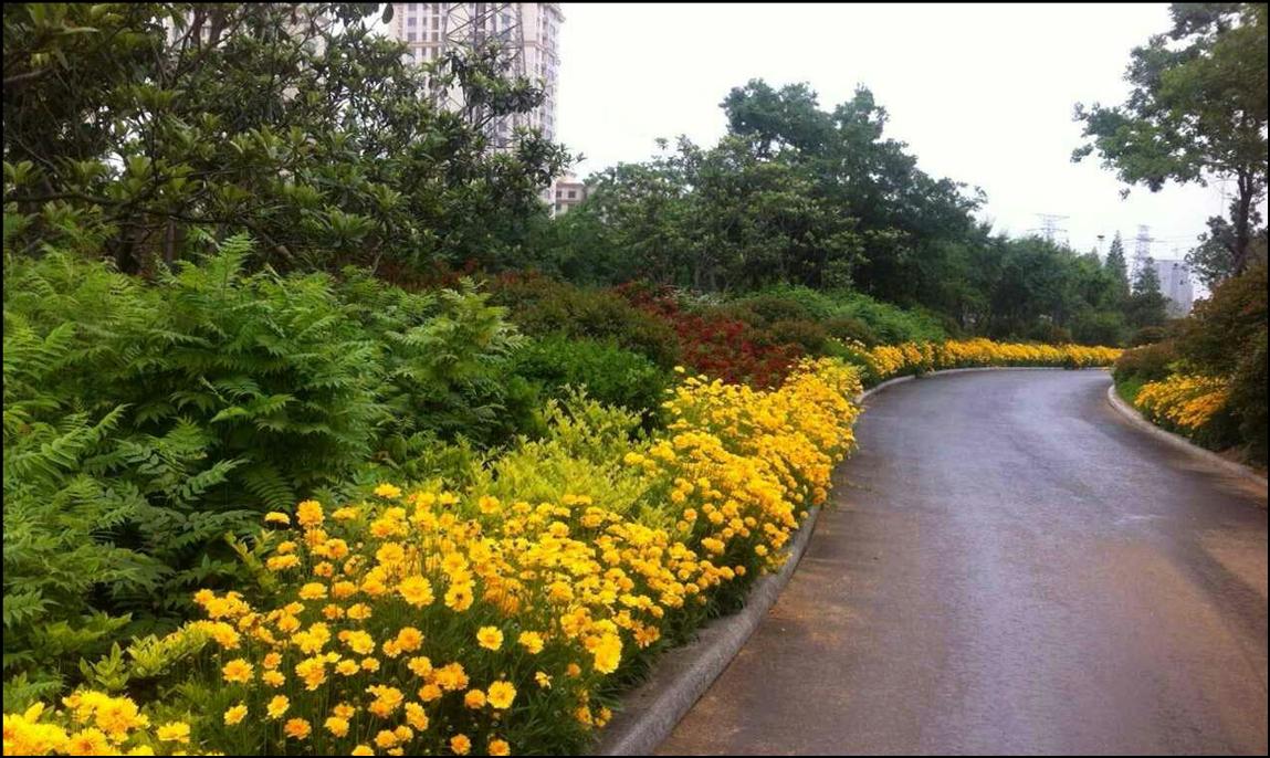 集團(tuán)五項(xiàng)工程榮獲“濟(jì)南市園林綠化優(yōu)秀規(guī)劃設(shè)計(jì)”獎